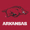 University of Arkansas-Fayetteville Razorbacks Red Logo Google Pixel 7a Clear Case